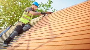 Best Roof Insulation Installation  in Dewitt, MI