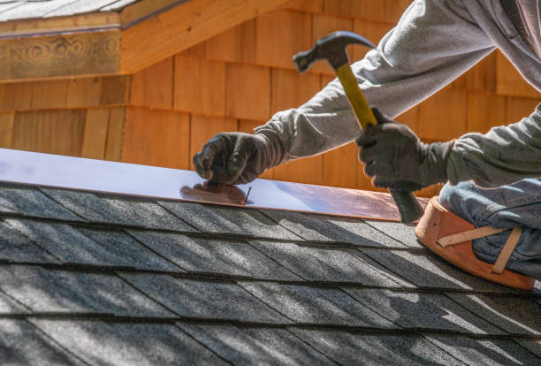 Best Hot Roofs  in Dewitt, MI