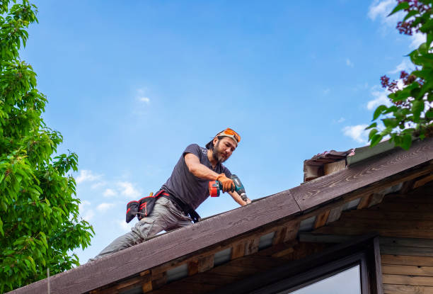 Best Gutter Installation and Repair  in Dewitt, MI