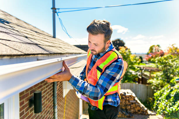 Best Green or Eco-Friendly Roofing Solutions  in Dewitt, MI