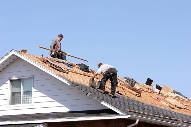Best Chimney Flashing Repair  in Dewitt, MI