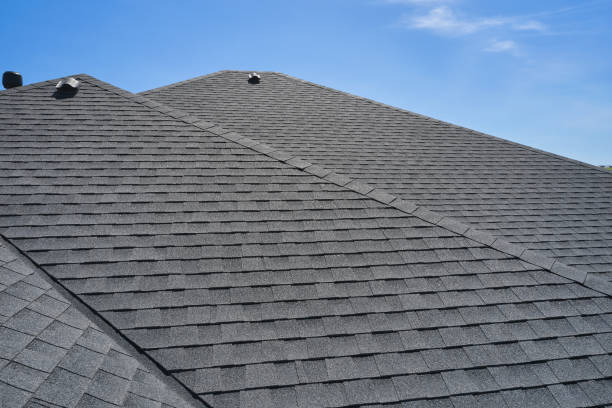 Best Roof Moss and Algae Removal  in Dewitt, MI