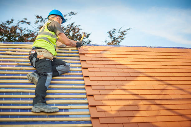 Best Roof Insulation Installation  in Dewitt, MI