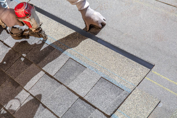 Best Flat Roofing  in Dewitt, MI